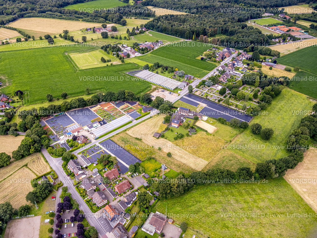 Bottrop240701417Kirchhellen | Luftbild, Stauden Koster Gartenbau Staudenkulturen, Sensenfeld, Formen und Farben, Kirchhellen-Süd, Bottrop, Ruhrgebiet, Nordrhein-Westfalen, Deutschland