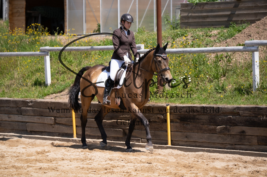 A7V08086 | Pferdefotograf