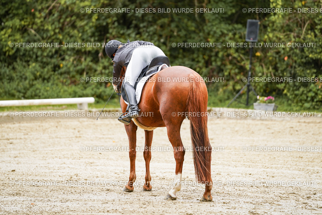 DSC08733 | Pferdegrafie