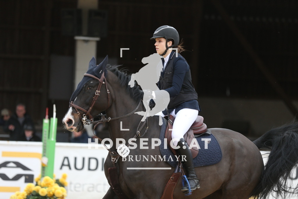 AS8V0026 | Willkommen bei Brunnmayr - Design & Fotografie – Ihrem Spezialisten für Reitturniere und Pferdeveranstaltungen in Oberösterreich, Salzburg und Bayern! Seit über 17 Jahren sind wir leidenschaftlich dabei.