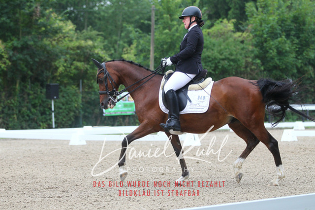 DKP40141 | Turniersportfotografie; Pferdefotografie; Dressurfotografie