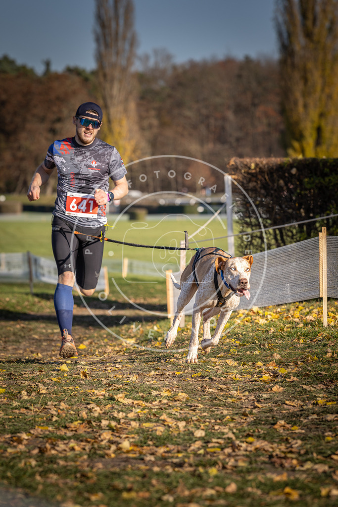 CaniXpix_DV3A0331 | Hundefotografie, Tierfotograf, Pfotenfotografie, Fotoshooting Hund, Hunde Portrait, Hundesport, Hundeportraits, Heideshooting, Hunde, Sportfotograf, Hundefotograf, Turnierhundsport, THS,  - Realisiert mit Pictrs.com