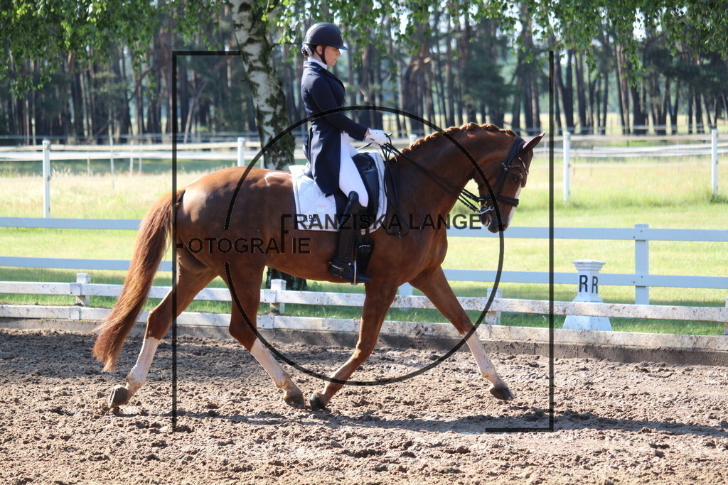 IMG_6371 | franziskalange - Realisiert mit Pictrs.com