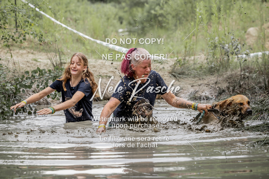 nelerasche_so1515-1530_238 | nelerasche