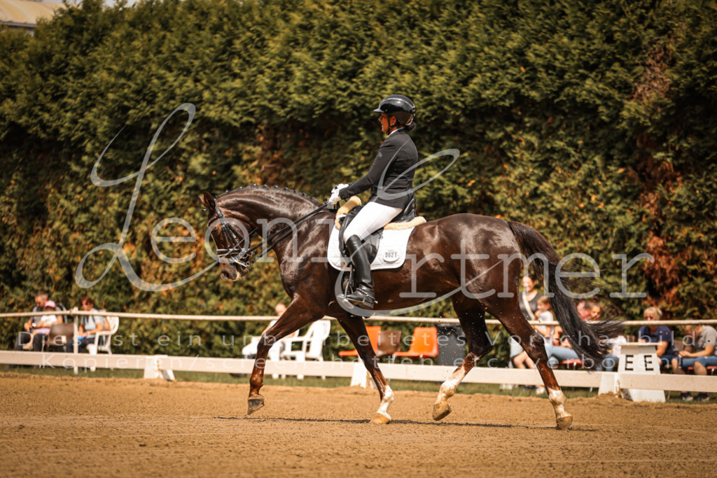 16.SaDrM00006 | Leoni Ertmer Photography - Realisiert mit Pictrs.com