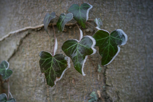 Winter 2015-9 | Outdoorpixl Teßen OHG - Realisiert mit Pictrs.com