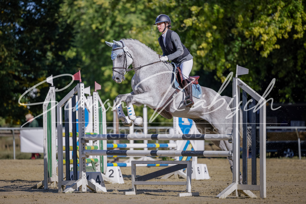 20250906-_3LI3246 | Tierfotografie Pferde, Hunde, Katzen, Haustiere.
Turnierfotografie Reitturniere, Reiten, Springreiten, Dressur in Hanau, dem Main-Kinzig-Kreis und dem Rhein-Main- Gebiet um Frankfurt