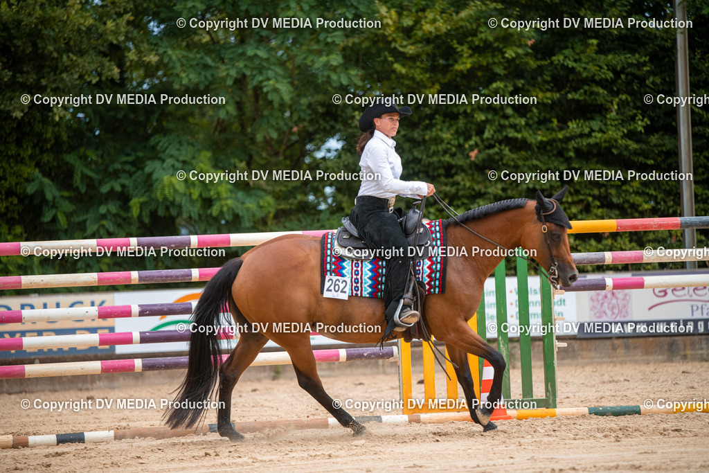 ZS2_8387 | dv-media-shop - Realisiert mit Pictrs.com