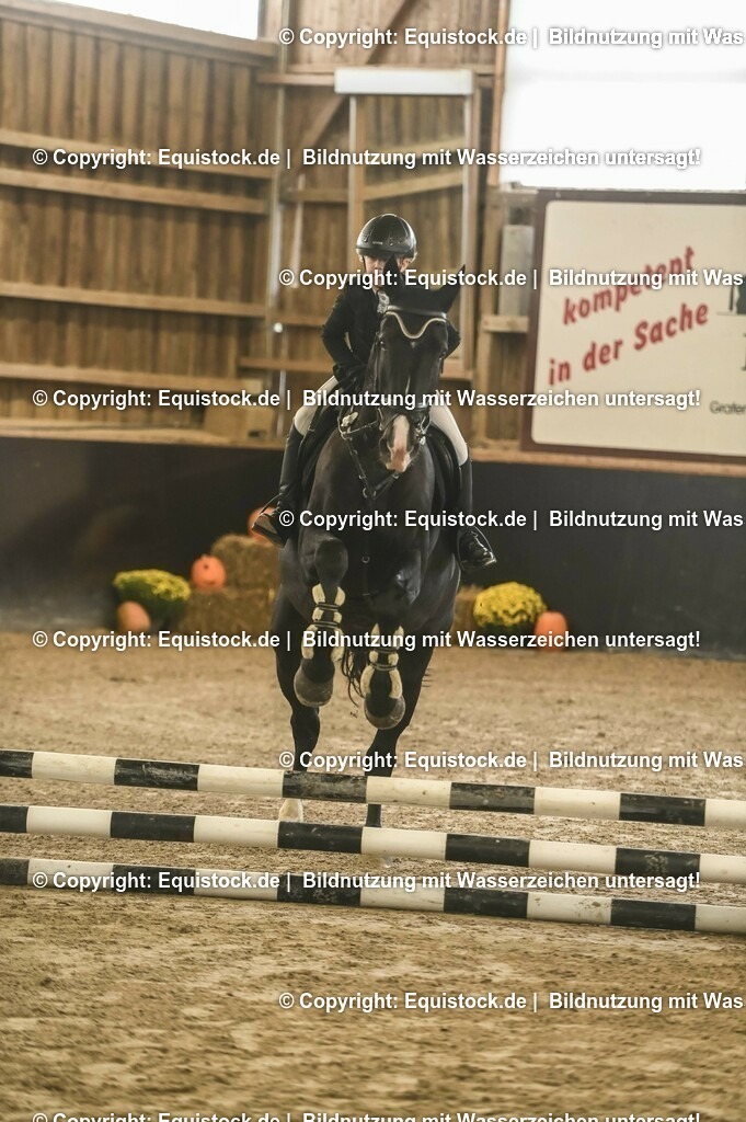 20231029_07_Stilspring-WB-50cm_0024 | Foto: Thomas Hartig