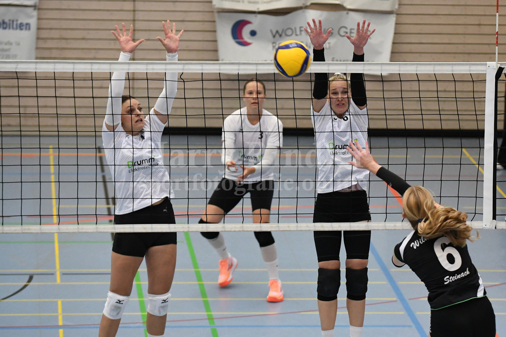 TSV Deggendorf Damen : Wilde Wespen Steinach | TSV Deggendorf Damen : Wilde Wespen Steinach - Realisiert mit Pictrs.com