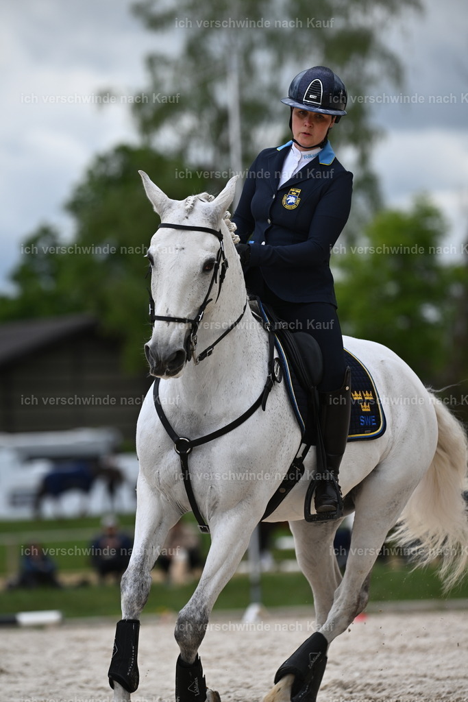PI26_ST_Sara_Landvogt226_4211.JPG | working equitationturnier fotograf videograf stoibphotography marixx film working equitation deutschland reitsport turnierfotografie eventfotografie equestrian events