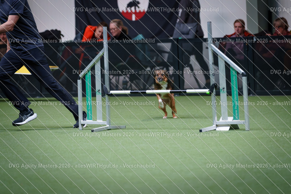 allesWIRTHgut_Tierfotografie-DVG_Agility_Masters_2026-15_03-7R506011 | Professionelle Tierfotografie in Mönchengladbach von Daniel Wirth (allesWIRTHgut). Liebevolle & natürliche Bilder von Hunden & Katzen für unvergessliche Erinnerungen.