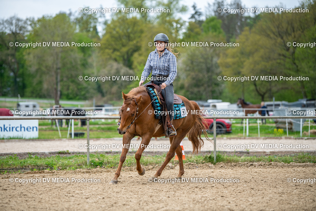 Heiligenwald Tag 1-1885 | dv-media-shop - Realisiert mit Pictrs.com