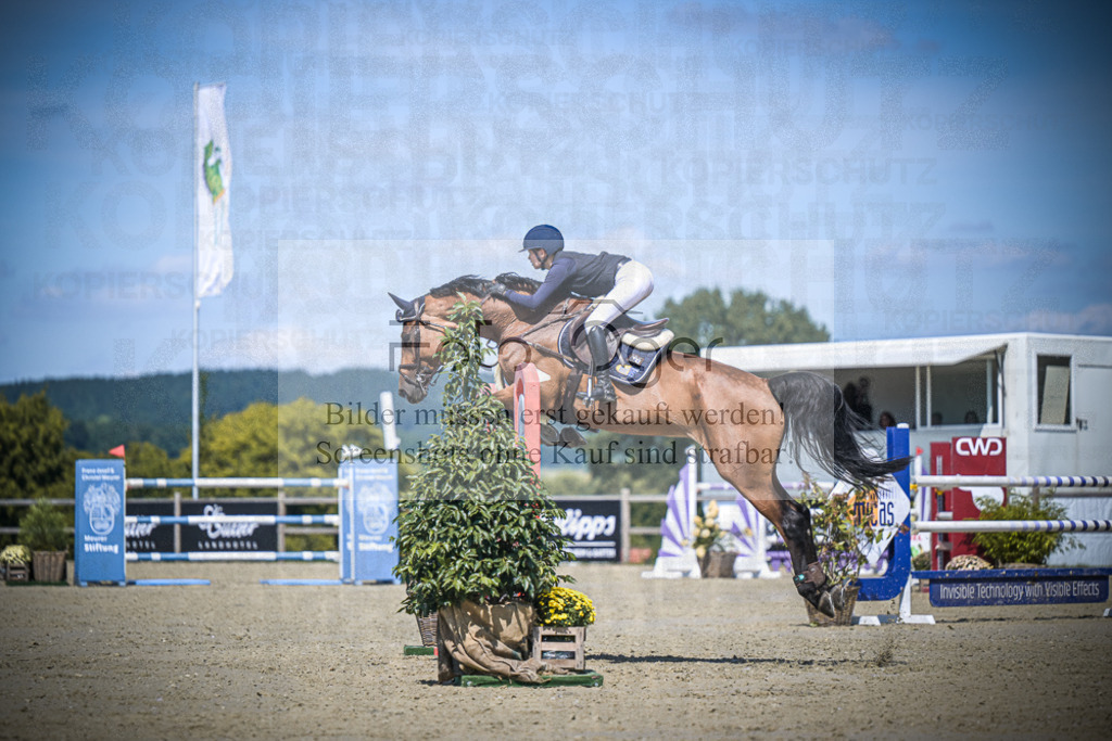 DOS_3657 | Entdecke hochwertige Reitturnierfotos von Foto Oger. Professionell, emotional und authentisch – jetzt Lieblingsmomente im Shop bestellen.Deutschlandweite Turnierfotografie. - Realisiert mit Pictrs.com