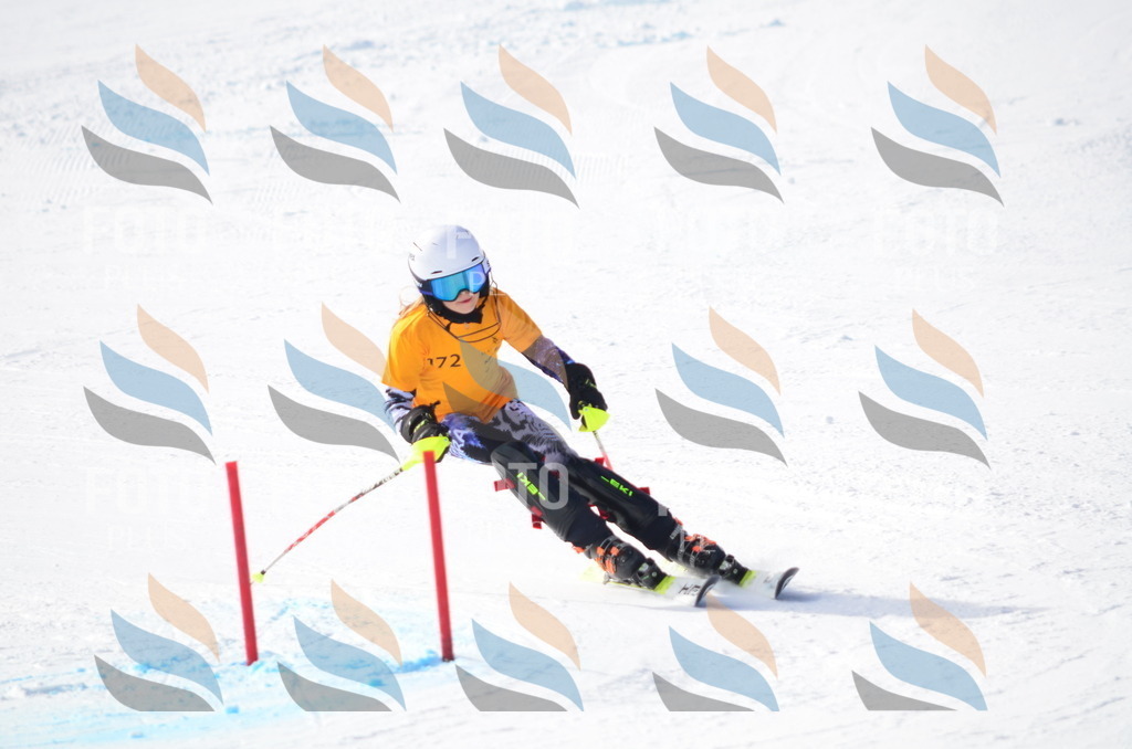 C7912 | holidayphoto