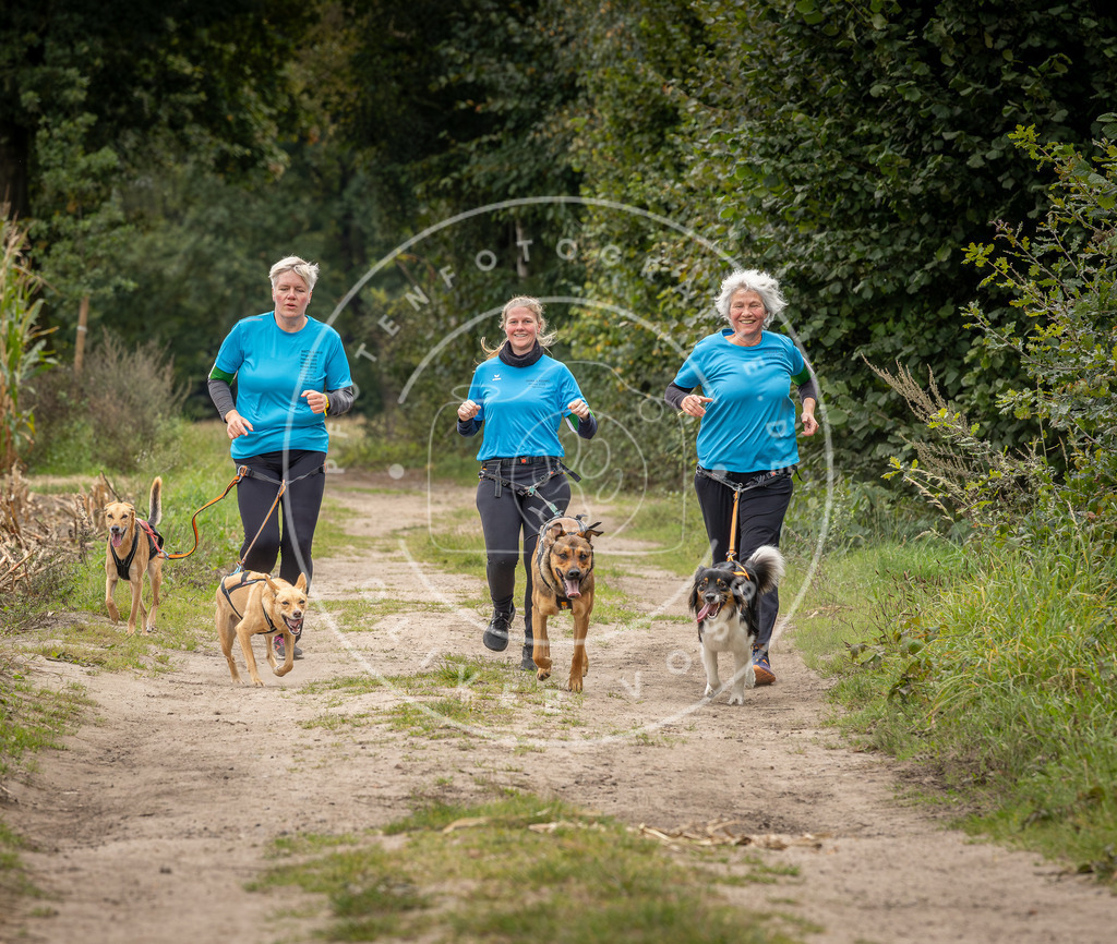 Pfotenfotografie_DV3A6407 | Hundefotografie, Tierfotograf, Pfotenfotografie, Fotoshooting Hund, Hunde Portrait, Hundesport, Hundeportraits, Heideshooting, Hunde, Sportfotograf, Hundefotograf, Turnierhundsport, THS,  - Realisiert mit Pictrs.com