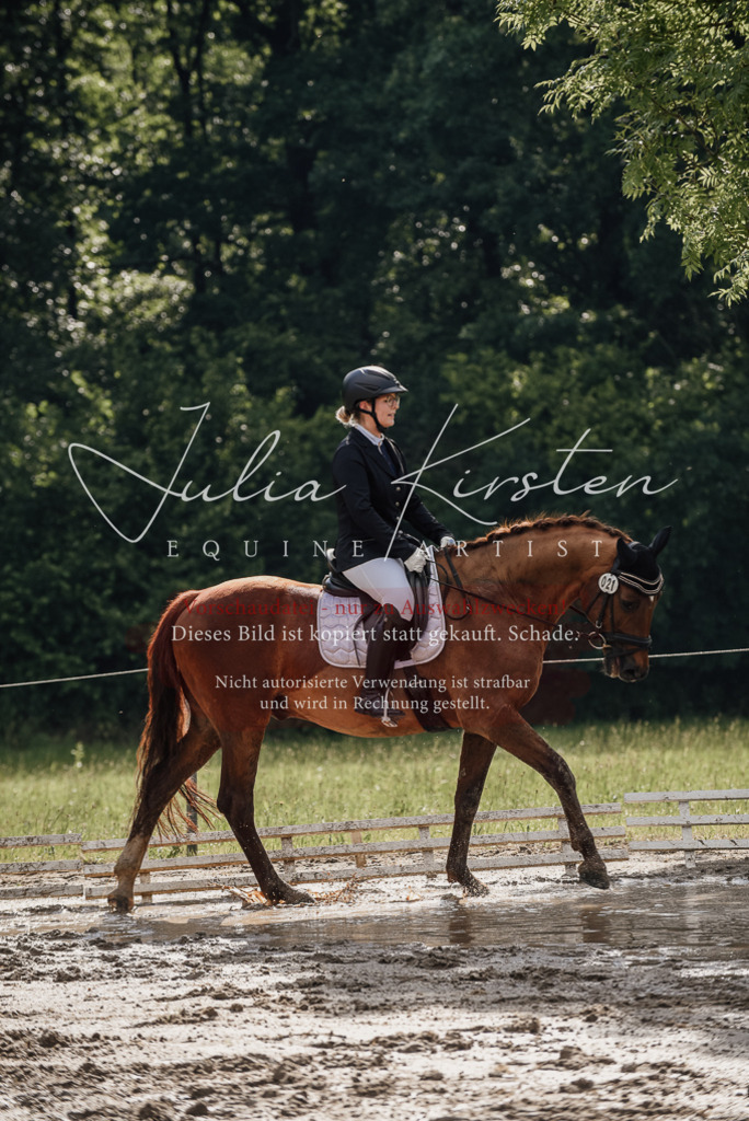DSC_8870 | Pferde- und Turnierfotografie in Westsachsen. Pferdeportraits, Auftragszeichnungen und intuitive Kunst.