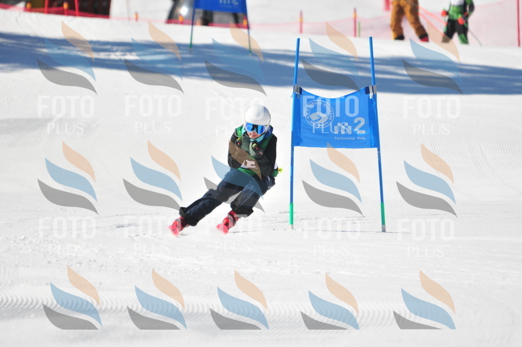 C3790 | holidayphoto