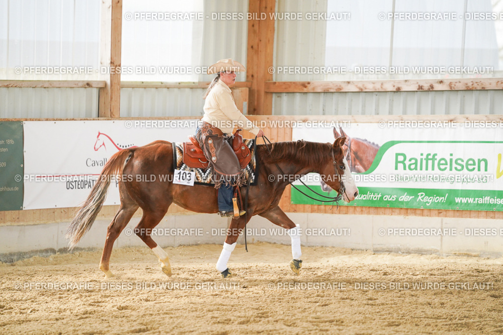 DSC06292 | Pferdegrafie