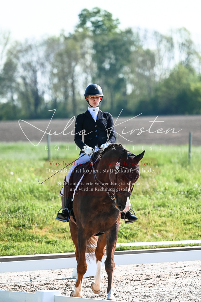 20230514_JK-Röhrsdorf-18-179 | Pferde- und Turnierfotografie in Westsachsen. Pferdeportraits, Auftragszeichnungen und intuitive Kunst.