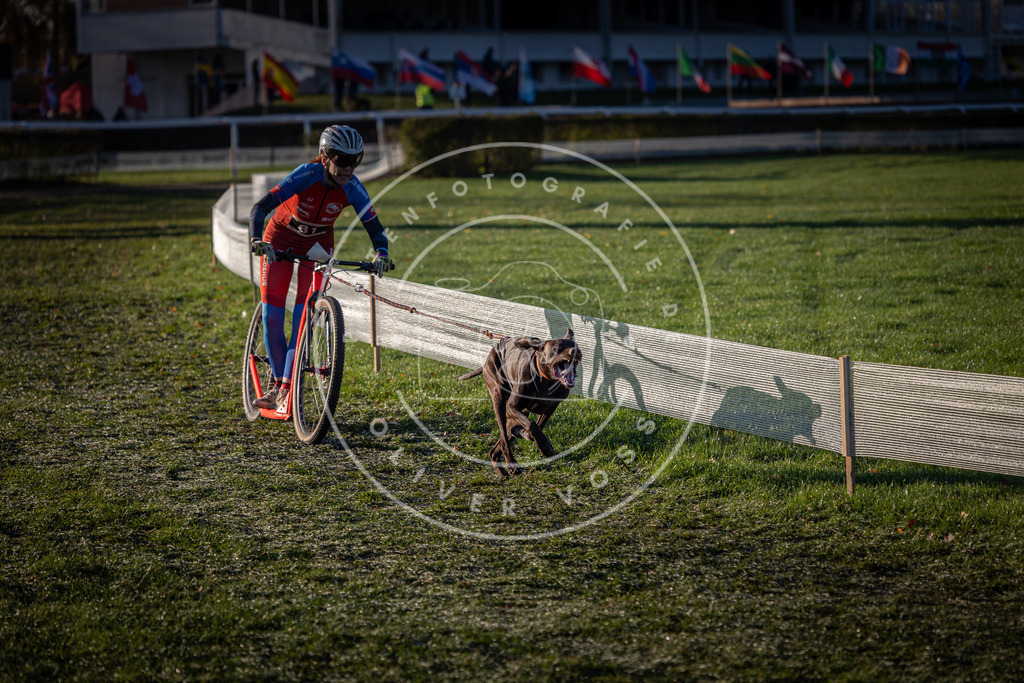 CaniXpix_0L8A3392 | Hundefotografie, Tierfotograf, Pfotenfotografie, Fotoshooting Hund, Hunde Portrait, Hundesport, Hundeportraits, Heideshooting, Hunde, Sportfotograf, Hundefotograf, Turnierhundsport, THS,  - Realisiert mit Pictrs.com