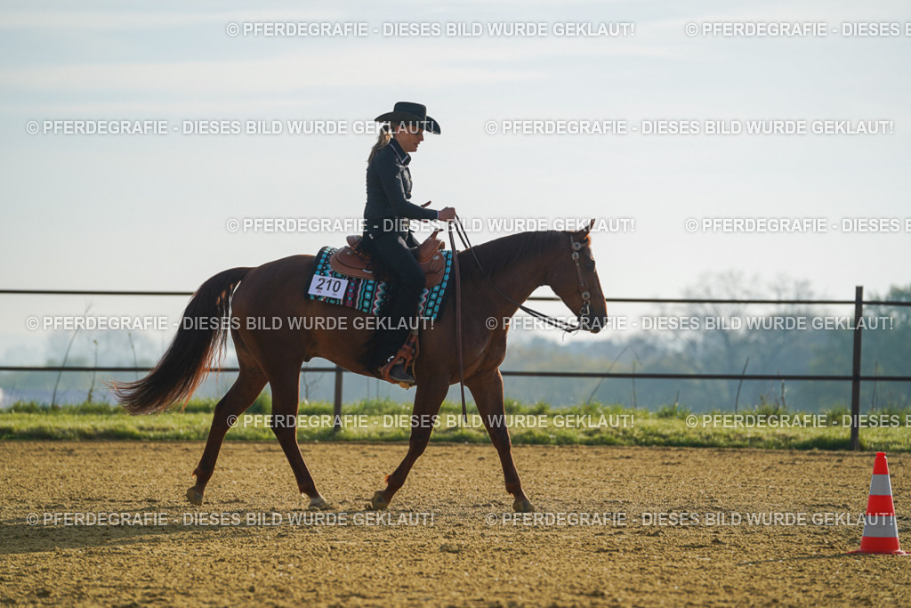 DSC00123 | Pferdegrafie