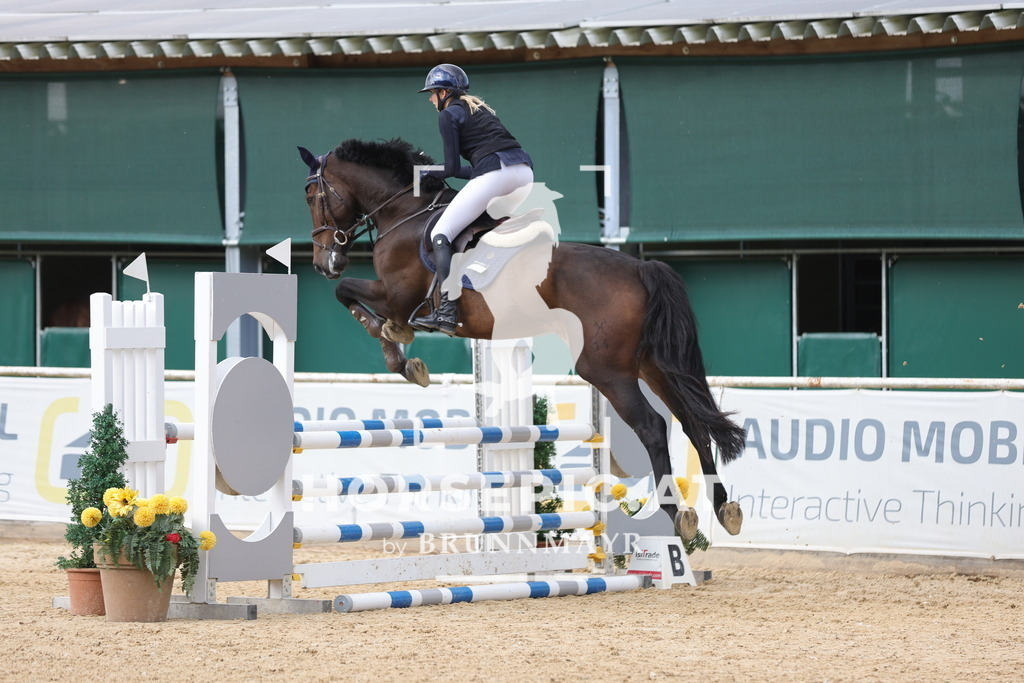 0P6A3278 | Willkommen bei Brunnmayr - Design & Fotografie – Ihrem Spezialisten für Reitturniere und Pferdeveranstaltungen in Oberösterreich, Salzburg und Bayern! Seit über 17 Jahren sind wir leidenschaftlich dabei.