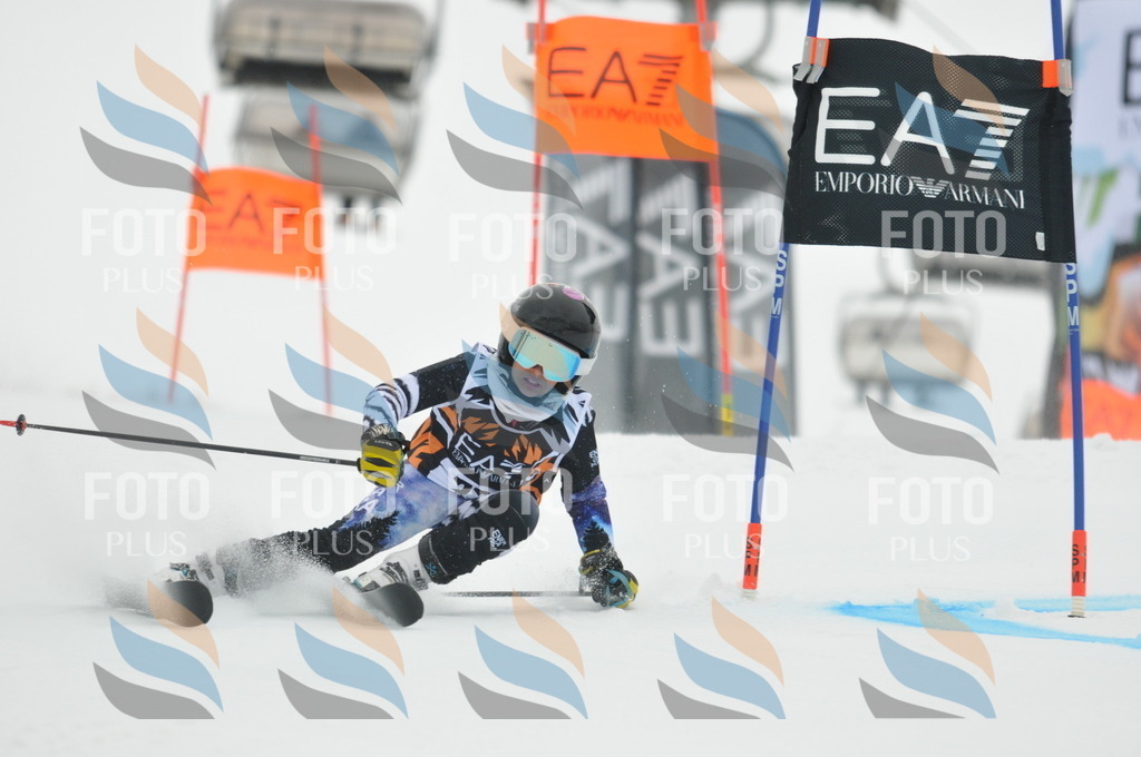 DSC_7476 | holidayphoto