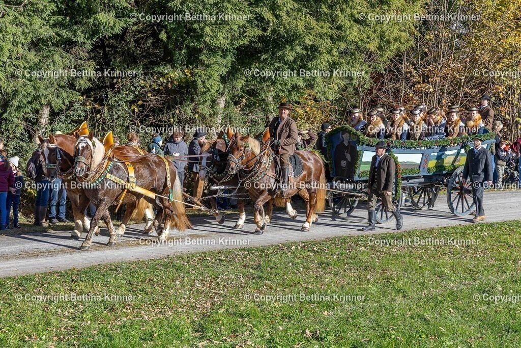 LBT25-703 | foto-bettina-krinner - Realisiert mit Pictrs.com