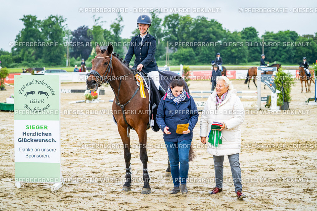 DSC02787 | Pferdegrafie