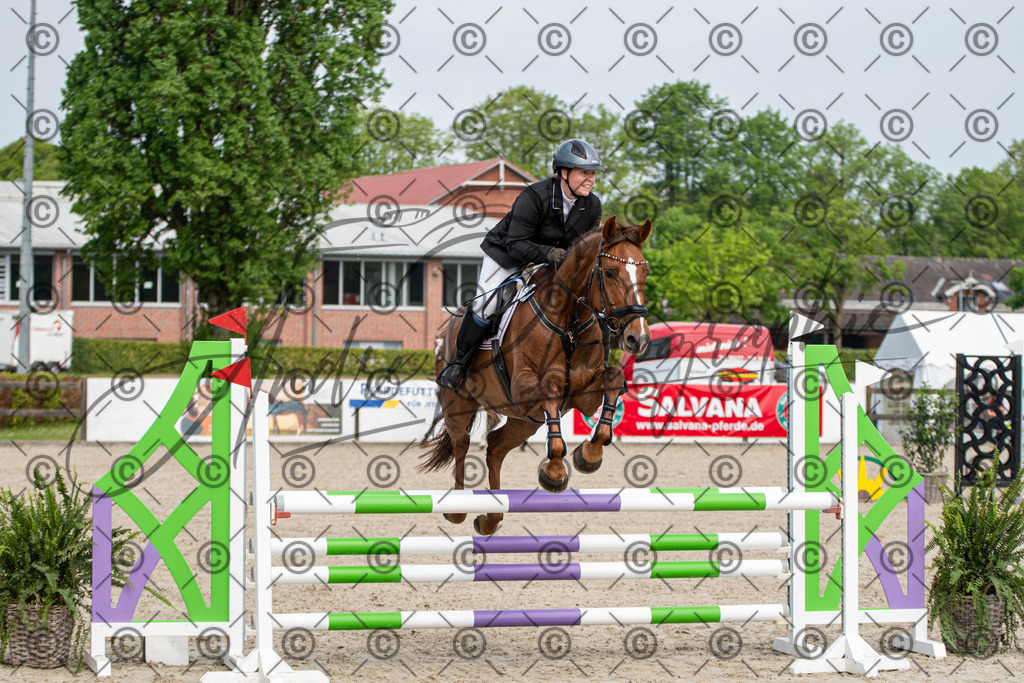 KPT_2614 | andre_photographic