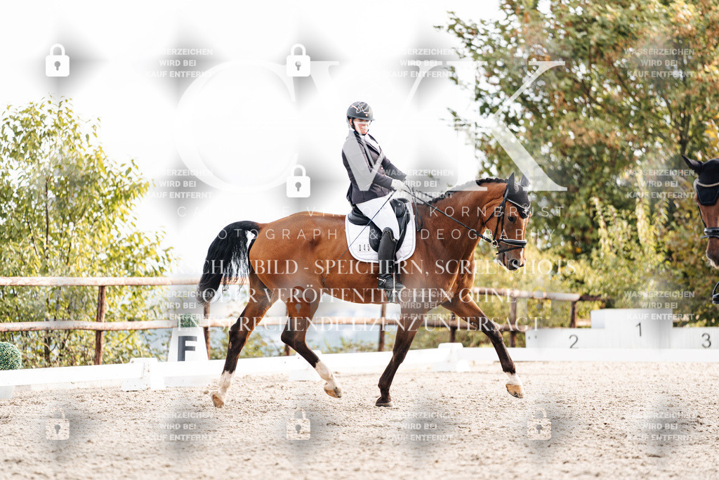 CK900767 | Turnierfotografie Pferdefotografie Trier Rheinland-Pfalz Pferdesport Reitsport Tierfotografie Sportfotografie Pferdevideo Pferdevideografie Equestrianvideography equestrianphotography  - Realisiert mit Pictrs.com