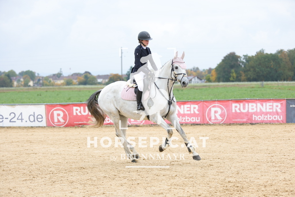 0P6A2356 | Willkommen bei Brunnmayr - Design & Fotografie – Ihrem Spezialisten für Reitturniere und Pferdeveranstaltungen in Oberösterreich, Salzburg und Bayern! Seit über 17 Jahren sind wir leidenschaftlich dabei.