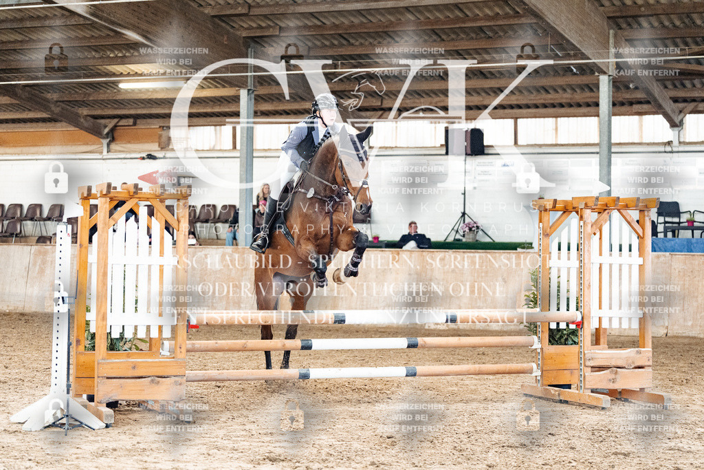 CK904643 | Turnierfotografie Pferdefotografie Trier Rheinland-Pfalz Pferdesport Reitsport Tierfotografie Sportfotografie Pferdevideo Pferdevideografie Equestrianvideography equestrianphotography  - Realisiert mit Pictrs.com