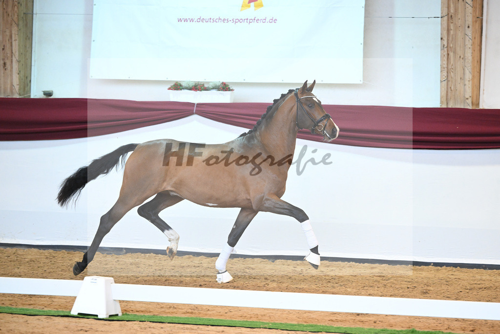 Kat-Nr. 23 v. Don Schufro_Raumanns_66220554 | hf-fotografie - Realisiert mit Pictrs.com