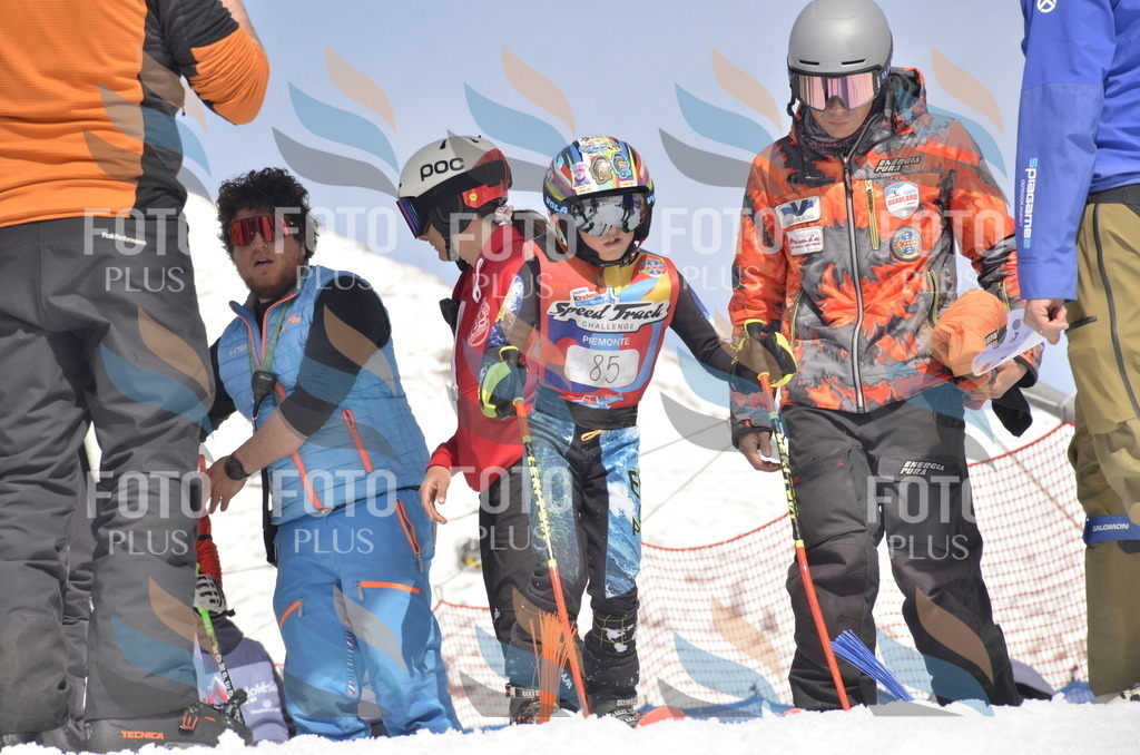 _ELE9235 | holidayphoto