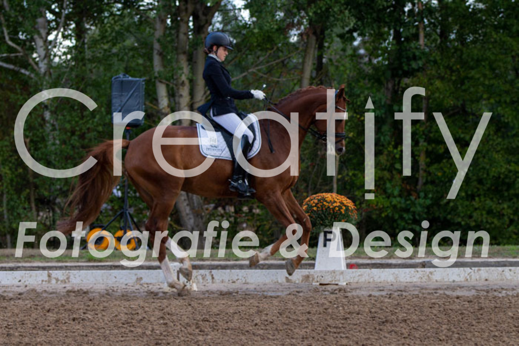 IMG_4226 | Creatify Fotografie