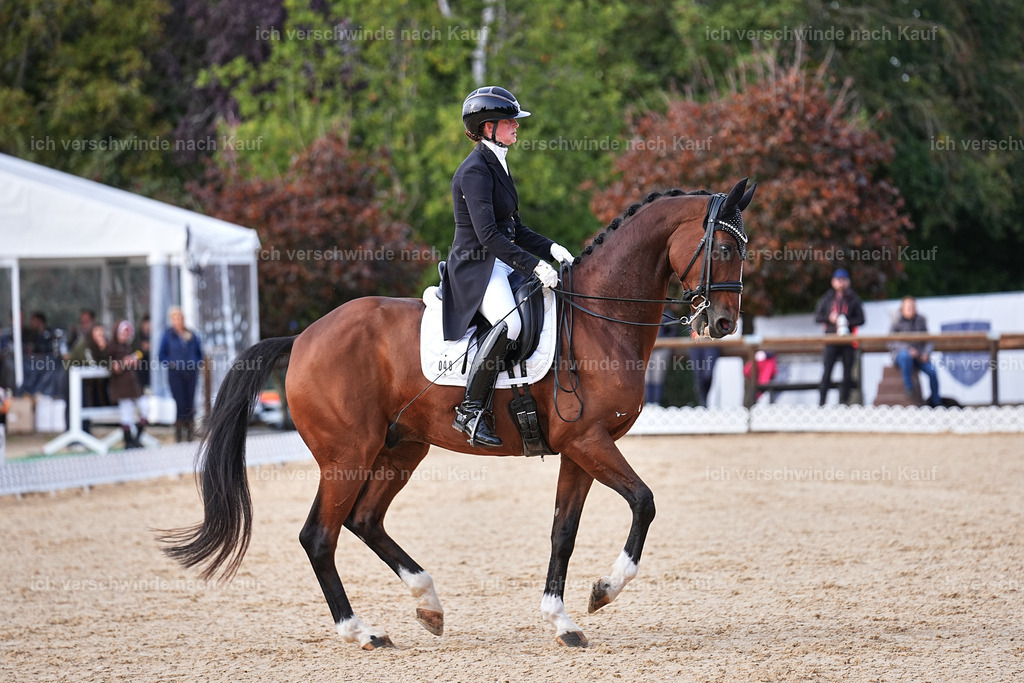 13-048-S___ -Marixx-7057 | working equitationturnier fotograf videograf stoibphotography marixx film working equitation deutschland reitsport turnierfotografie eventfotografie equestrian events
