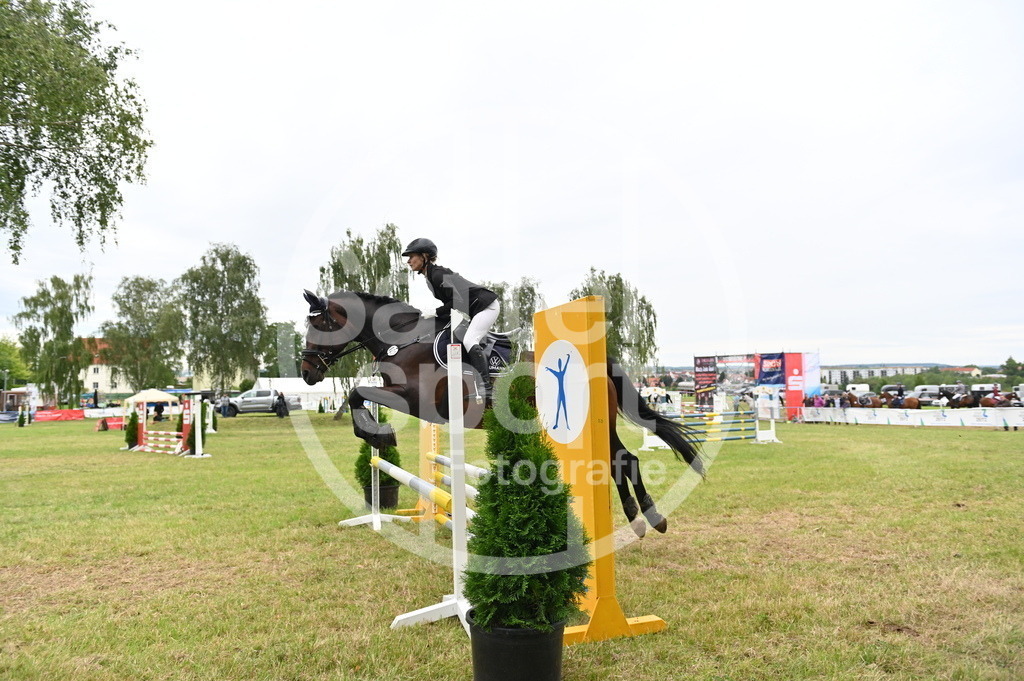 DSC_4025 | sattelsport - Realisiert mit Pictrs.com