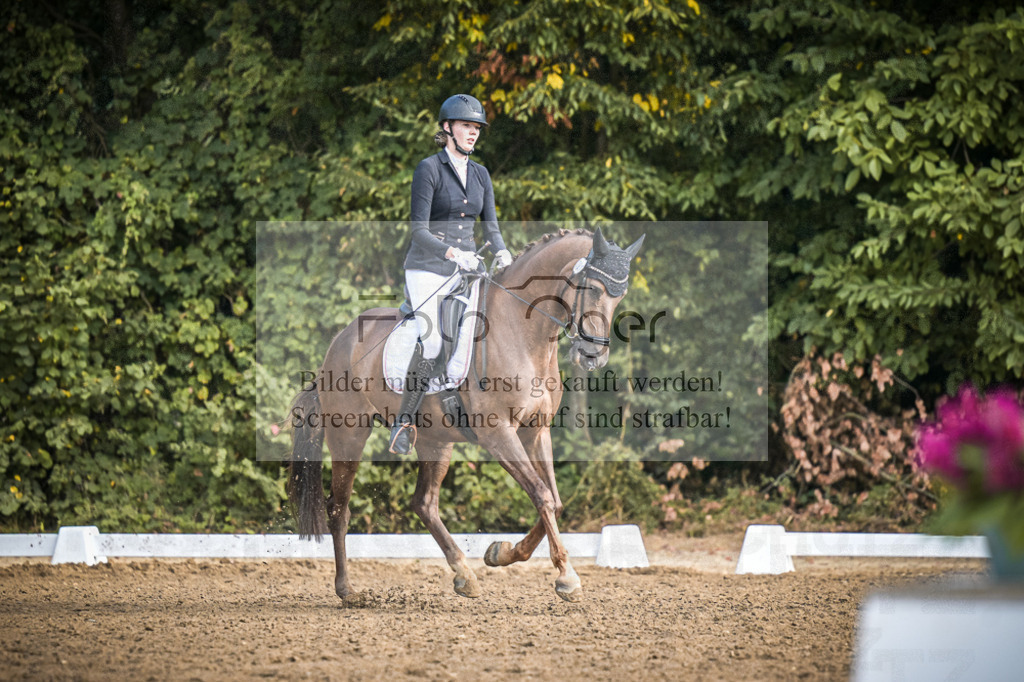 DOS_0279 | Entdecke hochwertige Reitturnierfotos von Foto Oger. Professionell, emotional und authentisch – jetzt Lieblingsmomente im Shop bestellen.Deutschlandweite Turnierfotografie. - Realisiert mit Pictrs.com
