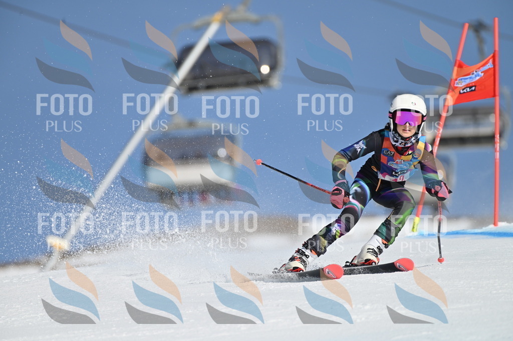 BGV_7792 | holidayphoto