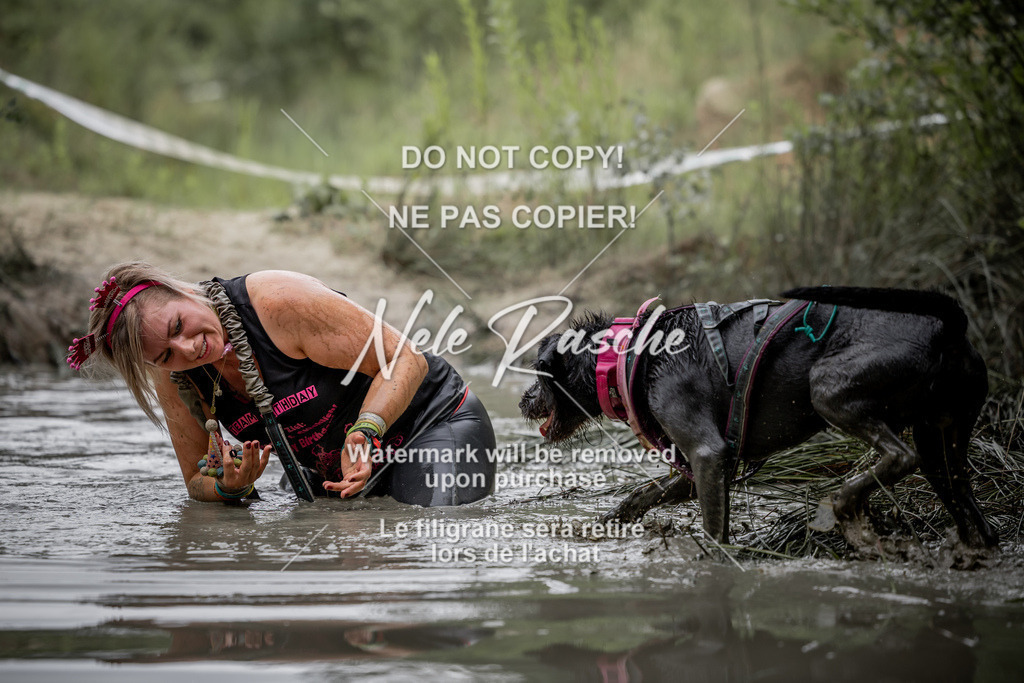 nelerasche_so0800-0930_404 | nelerasche