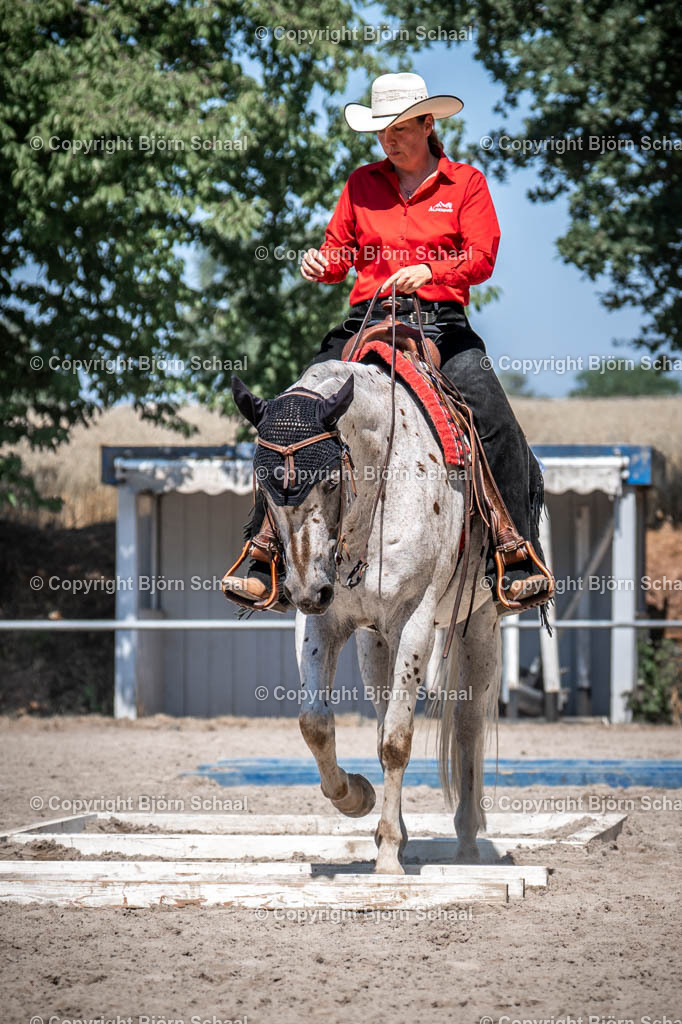LOE03638 | BS-foto