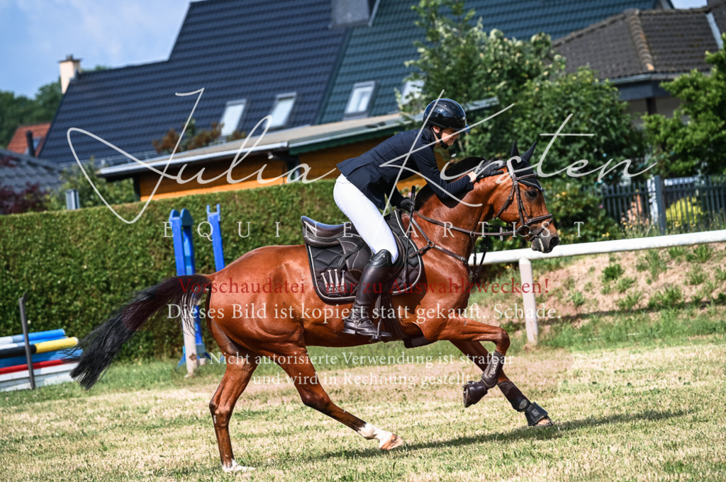 DSC_7919 | Pferde- und Turnierfotografie in Westsachsen. Pferdeportraits, Auftragszeichnungen und intuitive Kunst.
