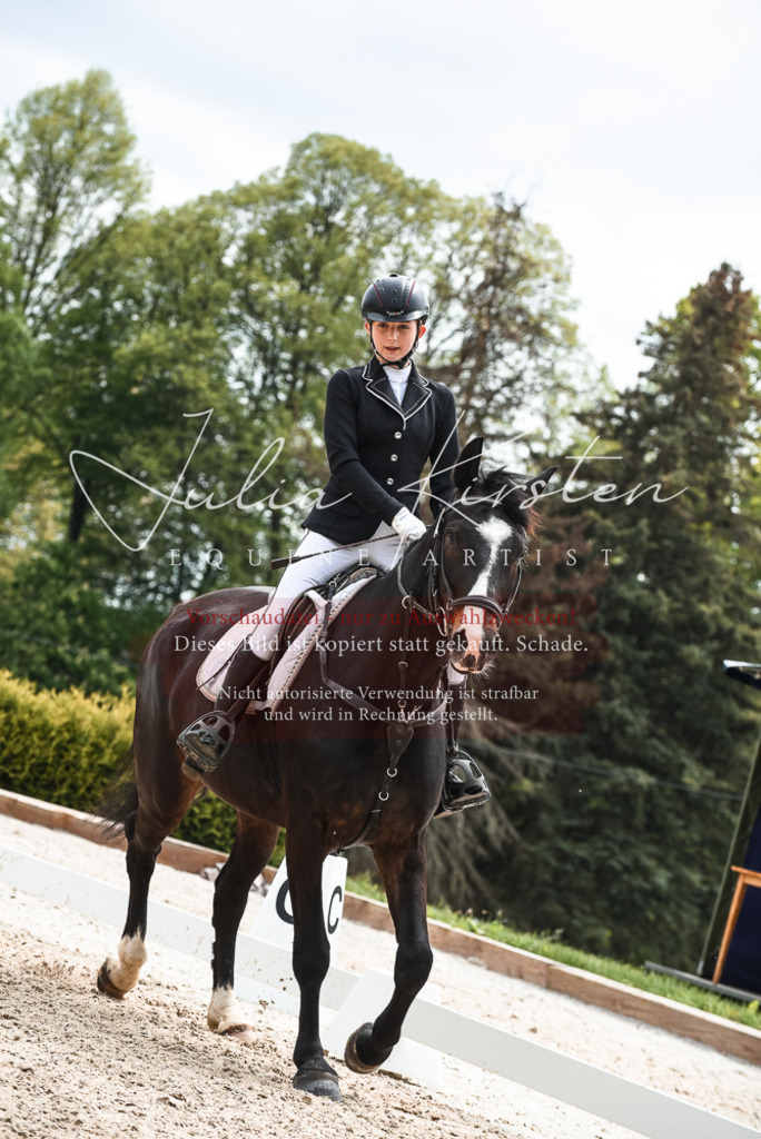 20230518_JK-Röhrsdorf-10-818 | Pferde- und Turnierfotografie in Westsachsen. Pferdeportraits, Auftragszeichnungen und intuitive Kunst.