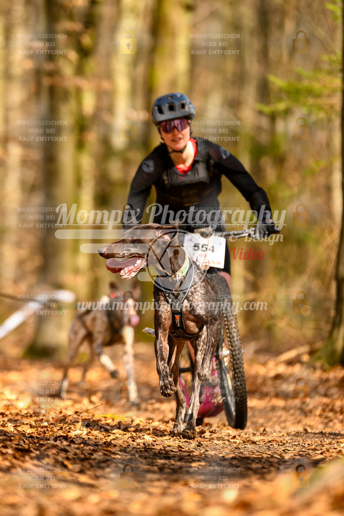 MompixPhotography_Habay2025_SA_SCO-9 | PayLife