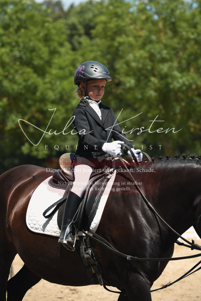 DSC_1764 | Pferde- und Turnierfotografie in Westsachsen. Pferdeportraits, Auftragszeichnungen und intuitive Kunst.
