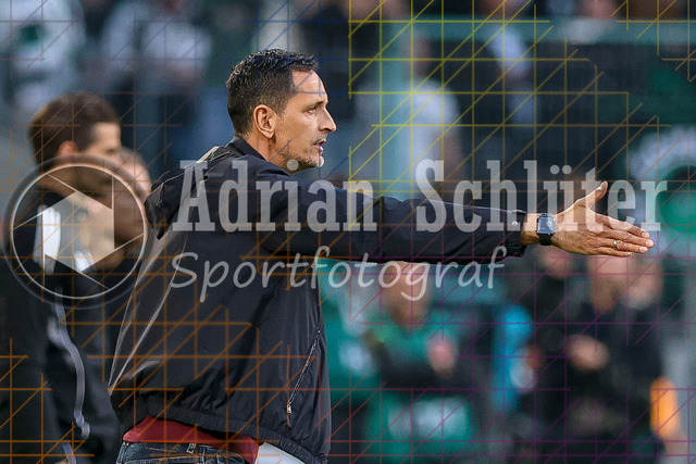 Borussia Mönchengladbach vs Eintracht Frankfurt - Bundesliga  | Mönchengladbach, Deutschland, 27.09.25:   Trainer Dino Toppmoeller gestikuliert, Gestik waehrend des Spiels der Bundesliga zwischen Borussia Mönchengladbach vs Eintracht Frankfurt im Stadion im Borussia Park(Foto von Brauer-Fotoagentur / Adrian Schlueter)