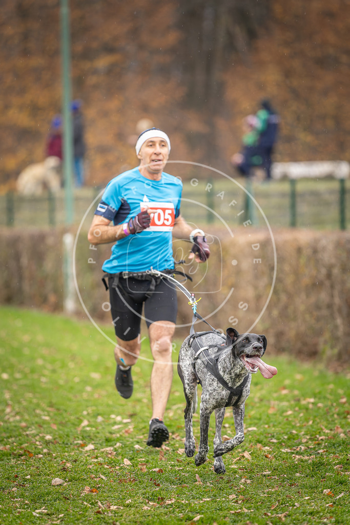 CaniXpix_DV3A7030 | Hundefotografie, Tierfotograf, Pfotenfotografie, Fotoshooting Hund, Hunde Portrait, Hundesport, Hundeportraits, Heideshooting, Hunde, Sportfotograf, Hundefotograf, Turnierhundsport, THS,  - Realisiert mit Pictrs.com