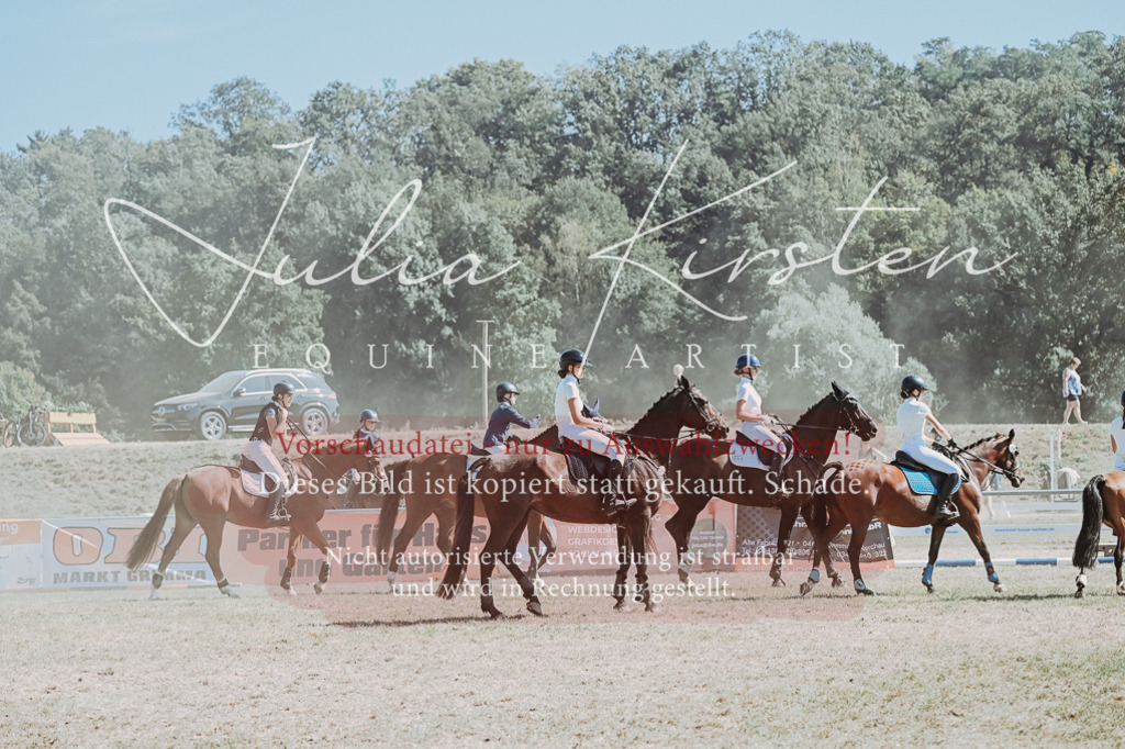DSC_0176 | Pferde- und Turnierfotografie in Westsachsen. Pferdeportraits, Auftragszeichnungen und intuitive Kunst.